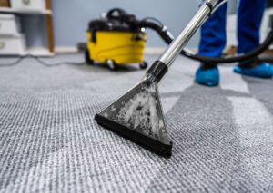 Carpet Cleaning Techniques