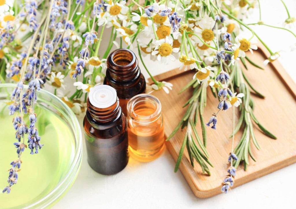 Comprehensive Holistic Medicine Training