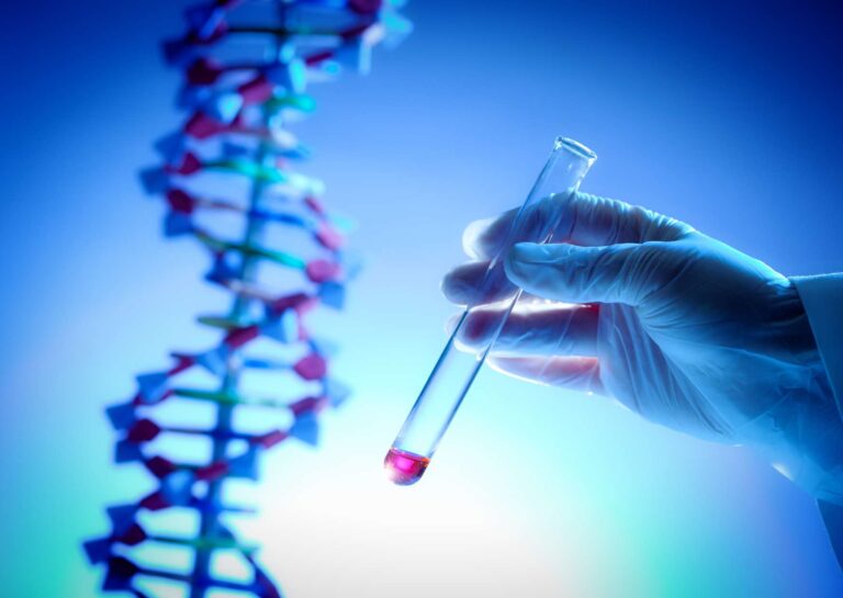 In-Depth Study of Genetic Diversity