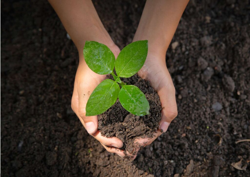 Serenity Attainment: Cultivating Tranquility in Life and Work