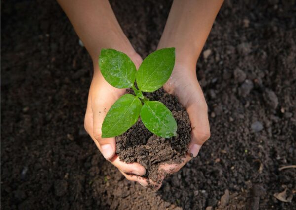 Serenity Attainment: Cultivating Tranquility in Life and Work
