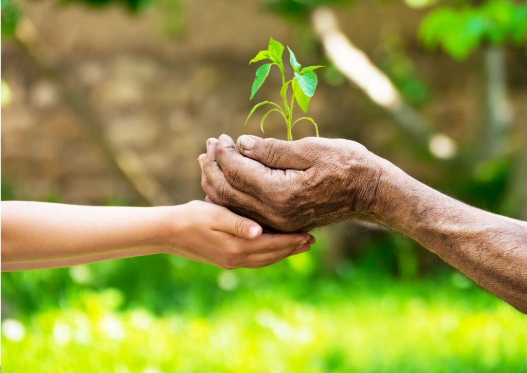 Cultivating Gratitude in your Life