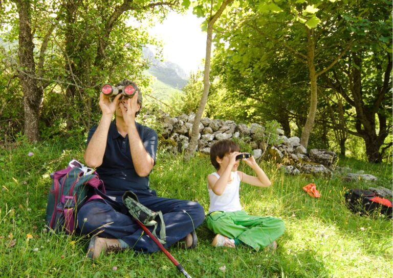 Birdwatching Basics