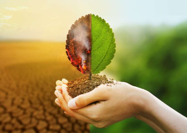 Environmental Impact Awareness