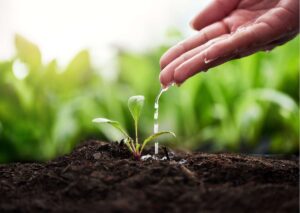 Agricultural Basics