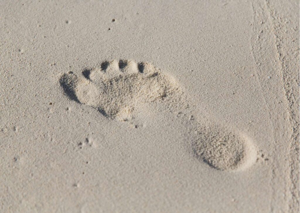 Human Footprints: Tracing Humanity’s Journey