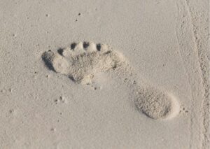 Human Footprints: Tracing Humanity's Journey