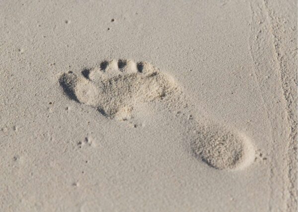 Human Footprints: Tracing Humanity's Journey