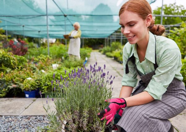 Cultivating a Positive Attitude for Life