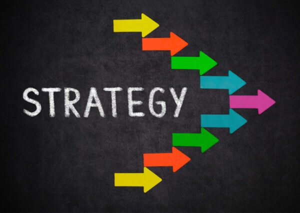 Conservation Strategies Unveiled