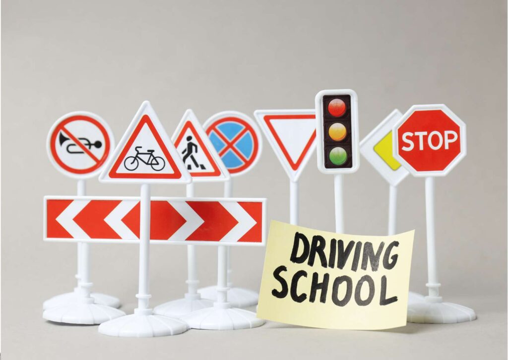 Driving Instructor Expertise Development