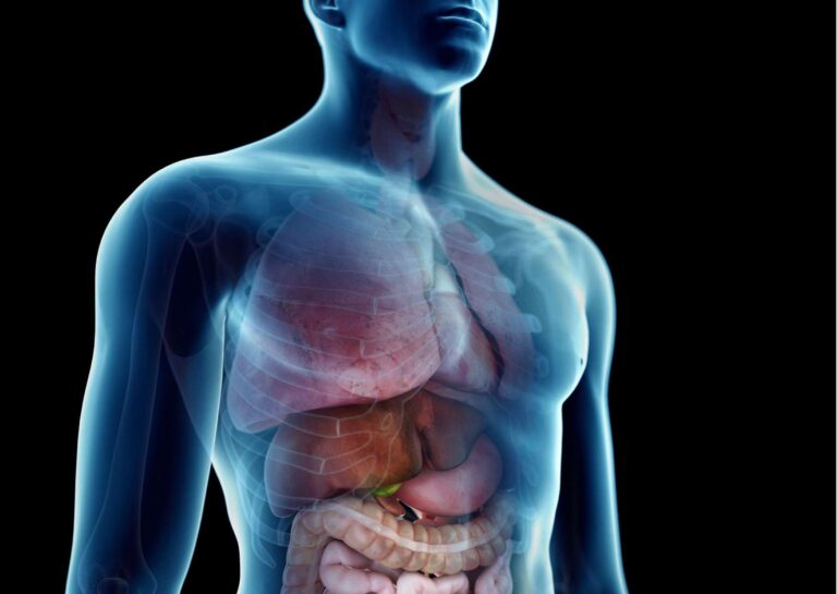 Fundamentals of Anatomy and Physiology Online