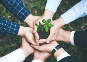 Diploma in Environmental Management