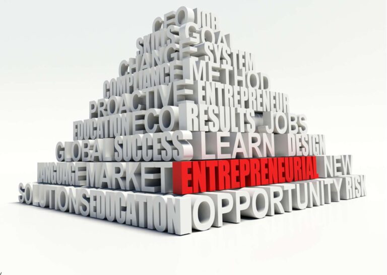 Entrepreneurial Blueprint