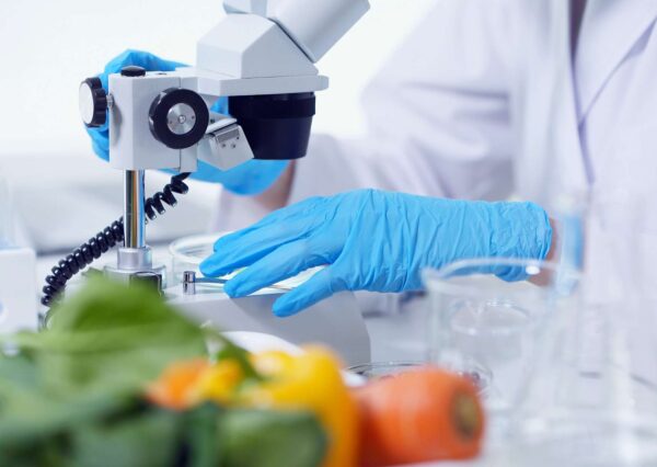 Food Science Overview
