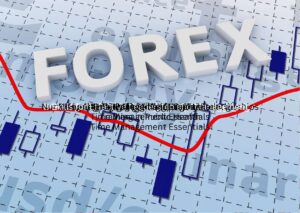Forex Trading Certification