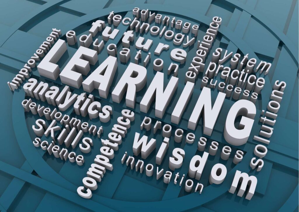 Fostering a Learning Culture in Business