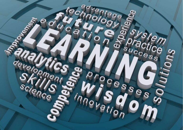 Fostering a Learning Culture in Business