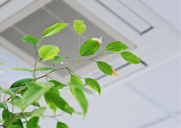 Indoor Air Quality Awareness Program