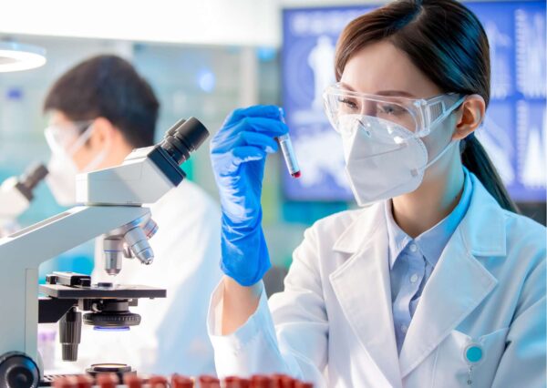 Success through UX Research and Testing