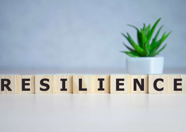 Resilience Strategies: Mastering Success