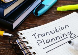 Resilience and Innovation during Transition