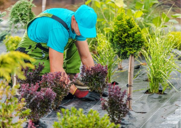 Safety First: Landscape Maintenance Online