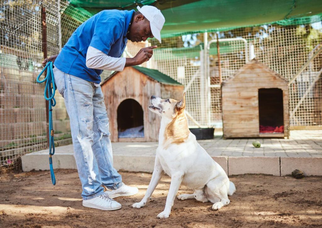 Training for Guide Dog Trainers