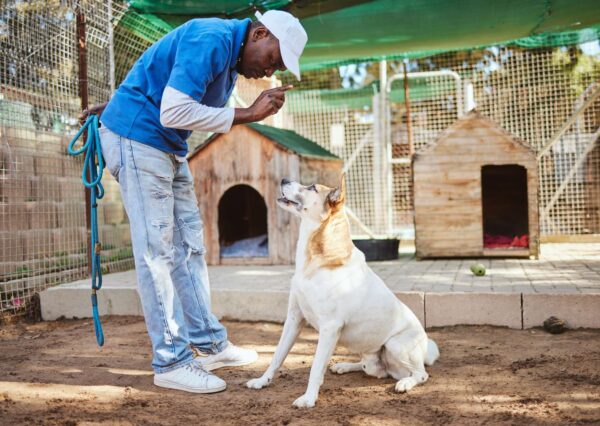 Training for Guide Dog Trainers